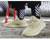Adidas Yeezy Boost 350 V2 Antlia